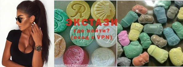 гашик Няндома