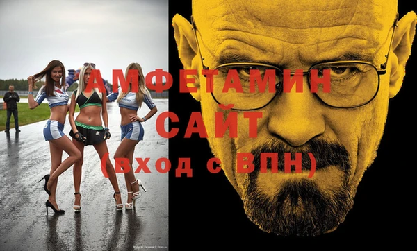 гашик Няндома