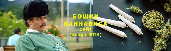 гашик Няндома