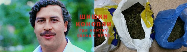 гашик Няндома
