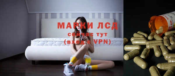 гашик Няндома