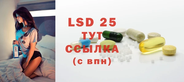 гашик Няндома