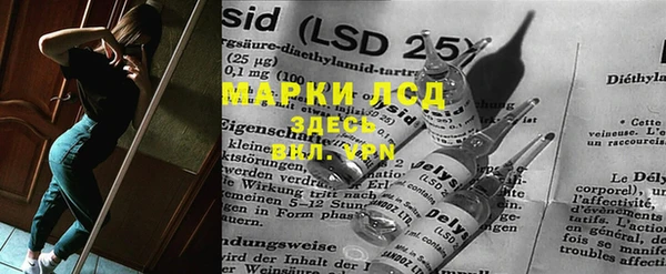 хмурый Новозыбков