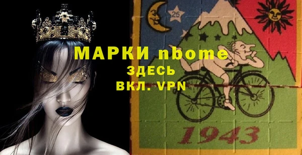 гашик Няндома