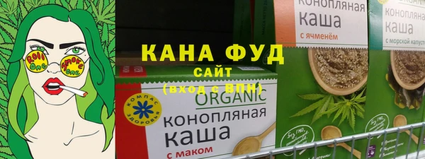 гашик Няндома